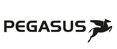 PEGASUS Fahrrad Fahrrad Spessart Mainfranken Marktheidendfeld